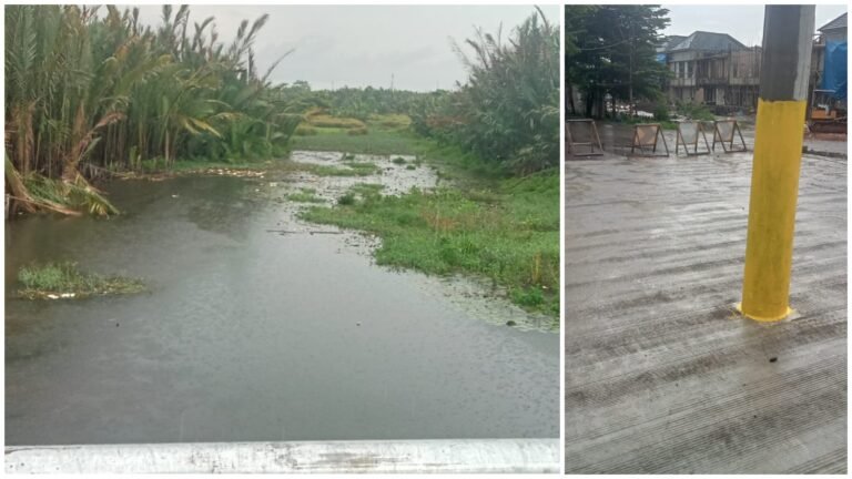 Publik Pertanyakan Amdal Pembangunan RRP di Kota Makassar